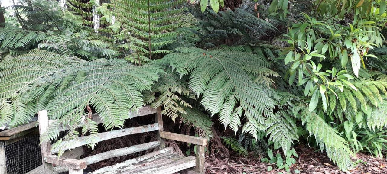 Earthsounds Country Cottage Taumarunui Eksteriør bilde