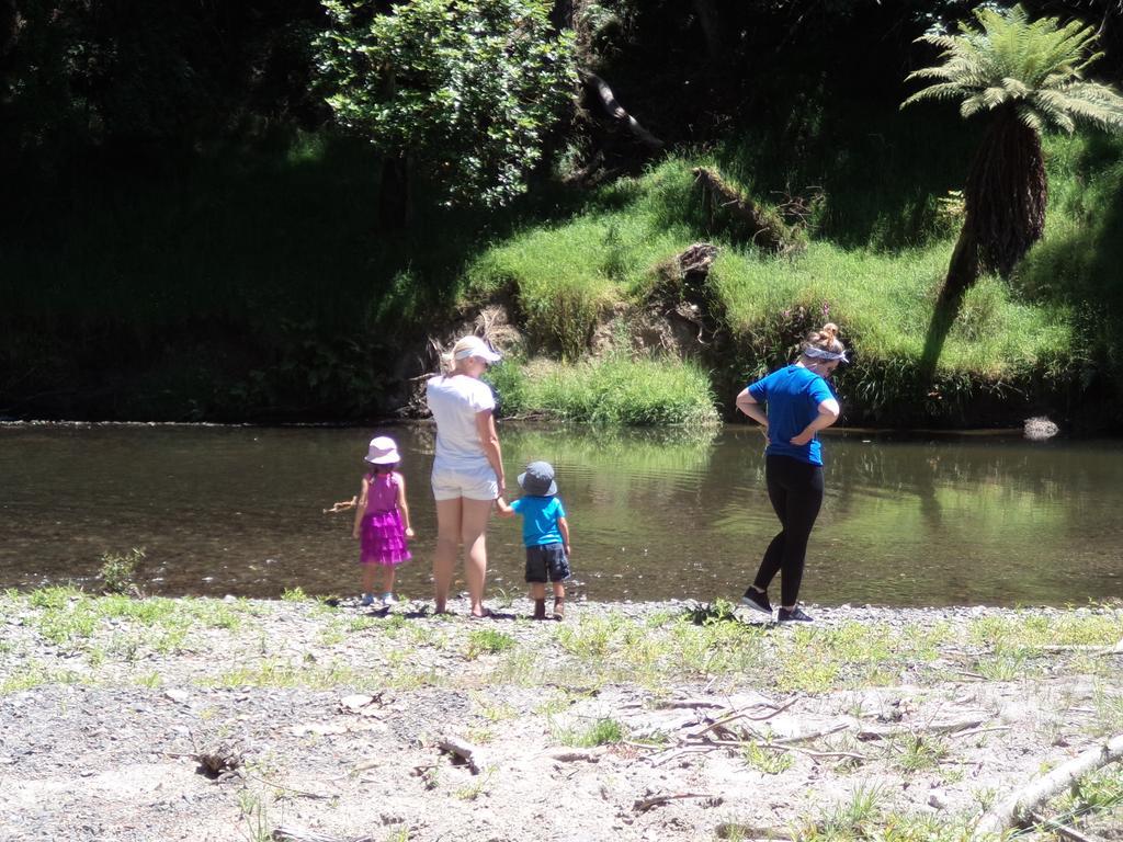 Earthsounds Country Cottage Taumarunui Rom bilde